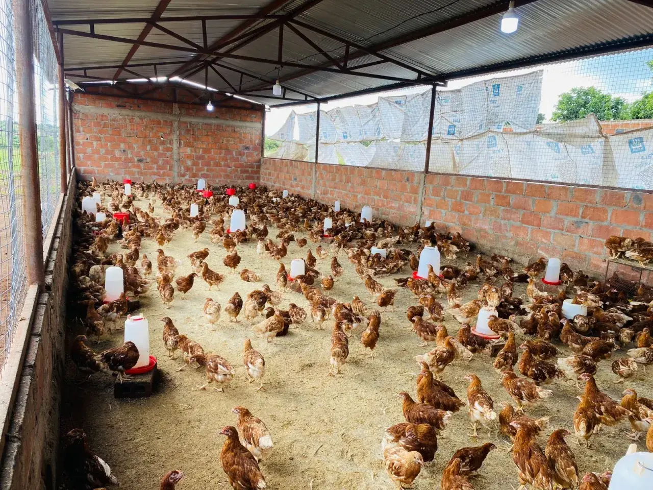 Operação Farma do Zambeze