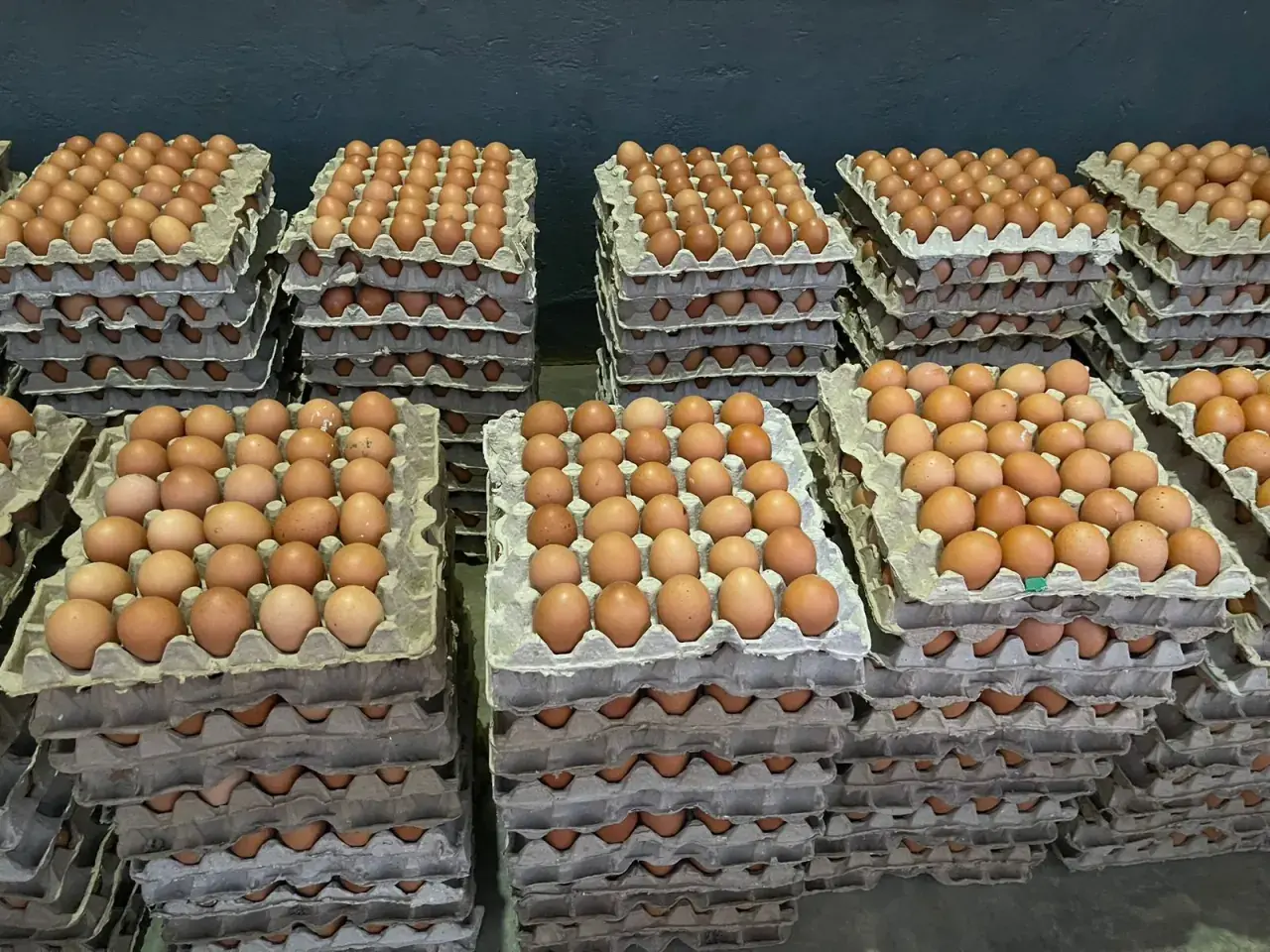 Operação Farma do Zambeze